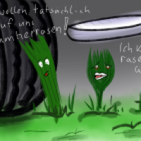 Rasen, noch mehr Rasen