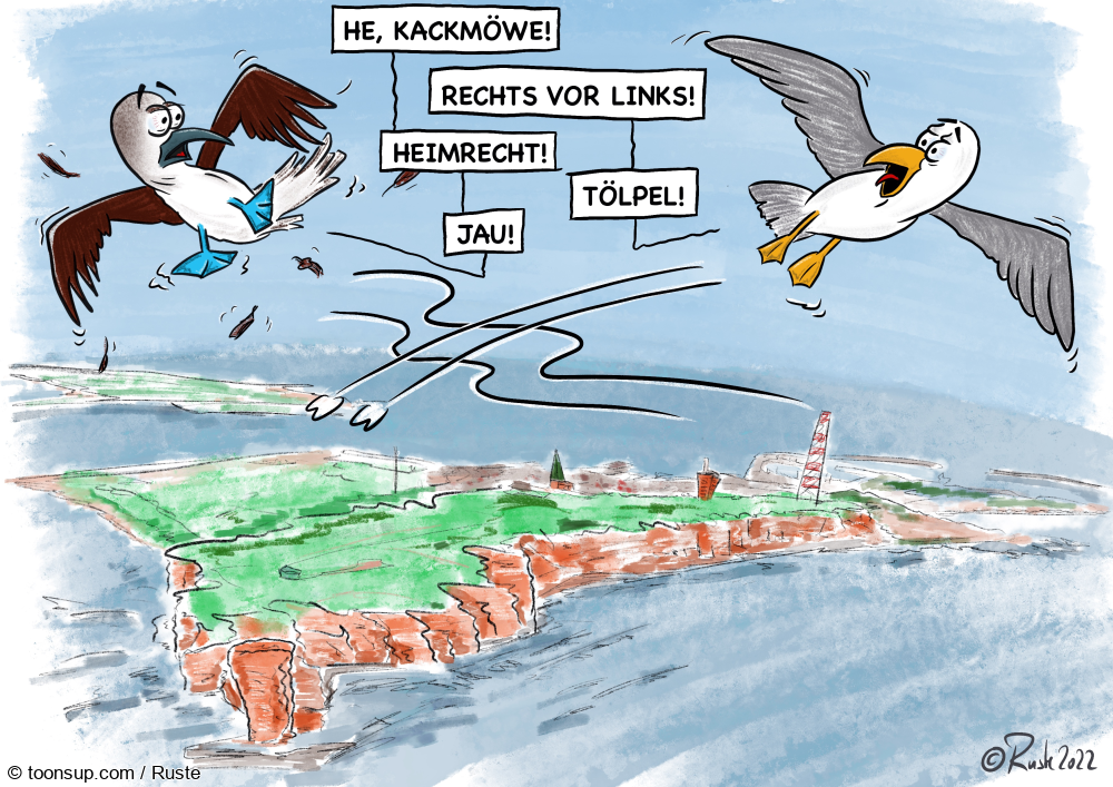 Cartoon: Flugverkehr 1