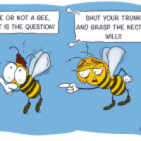 Shakesbee