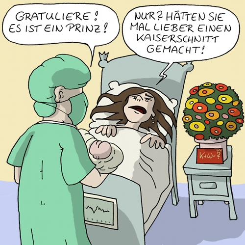 Cartoon: Es ist ein Prinz! 1