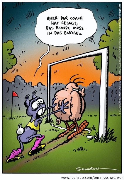 Cartoon: Schweinevogel Fußball 1