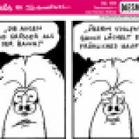 Schweinevogel Bauch