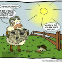 Karotten