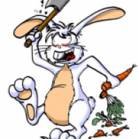 wahnsinniger hase