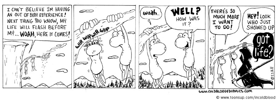 Comic: Life 1