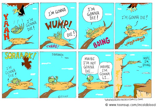 Comic: Hawk's Nest 1