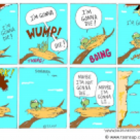 Hawk's Nest
