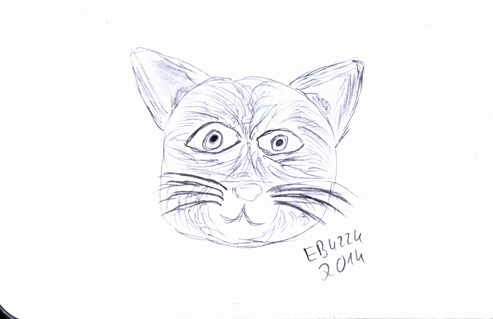 Concept Art / Character Design: Katze 1