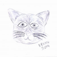 Katze