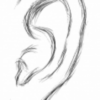 erster digitaler Versuch