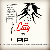 Lilly, Cover, 2019