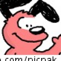 Picpak Dog