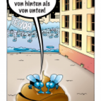Cartoon von Stefan Bayer: Pegida