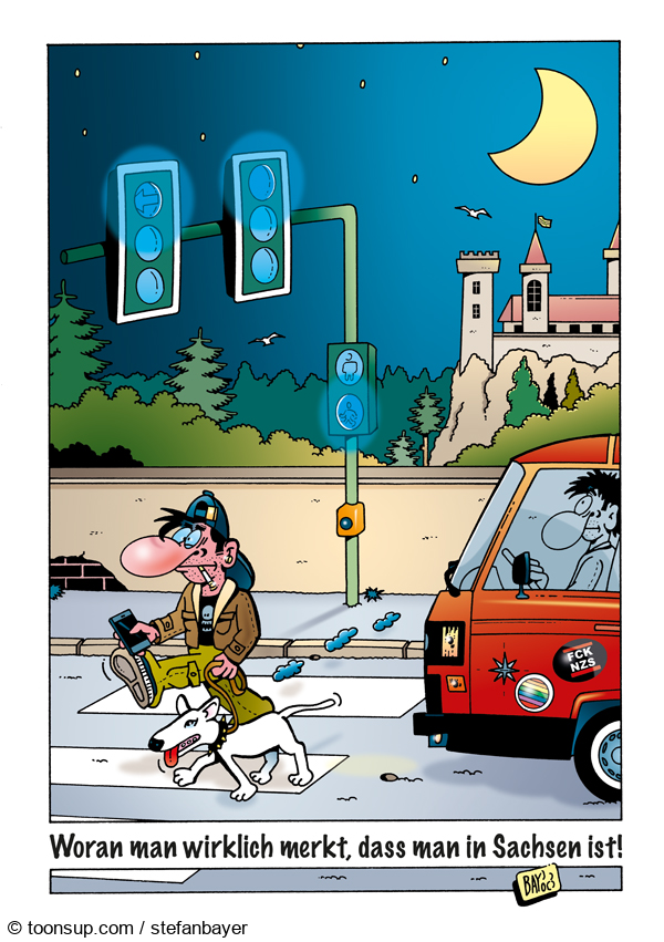 Cartoon: Cartoon von Stefan Bayer: Sachsen 1