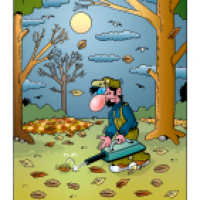 Cartoon von Stefan Bayer: Der Laubläser