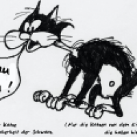 Felide Unterschiede