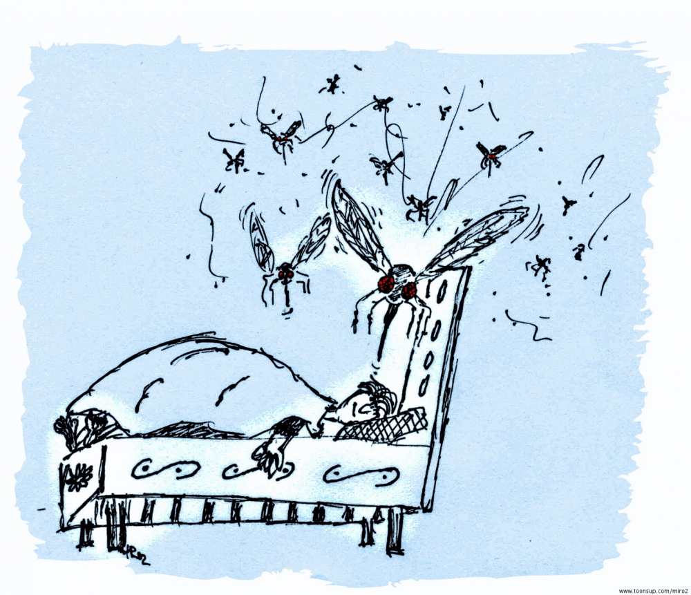 Cartoon: Sommernachtstraum 1