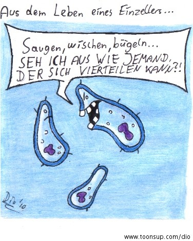 Cartoon: Einzeller 1