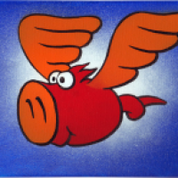 Flugwütze