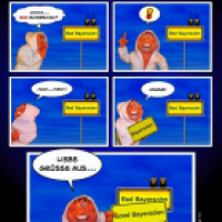 Bad Bayersoien Wellness
