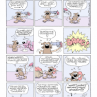 Willkommen bei der Tierseelsorge!