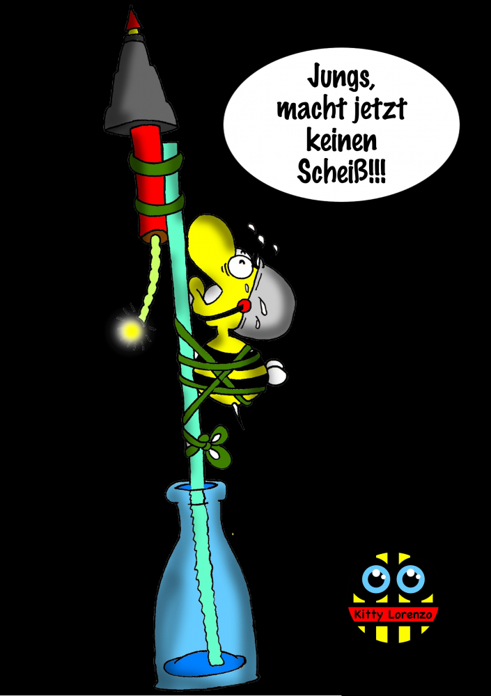 Cartoon: Feuerwerk 1