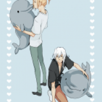 Dolphin Obessesion