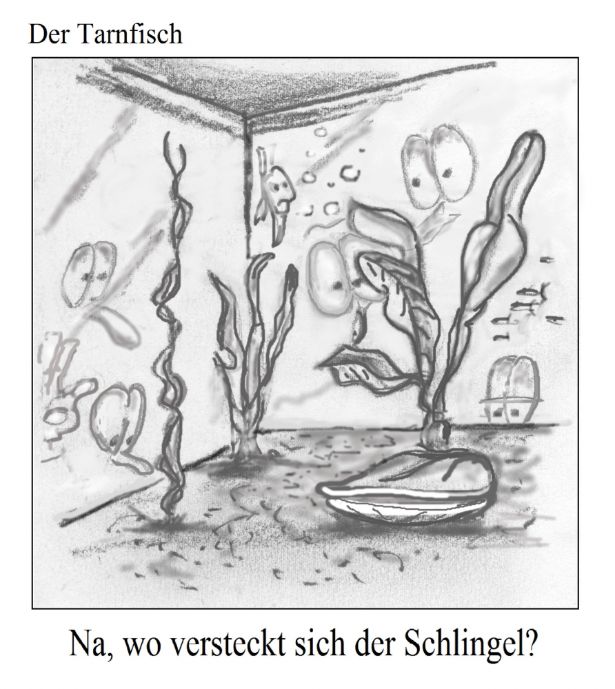 Picture Puzzle: Wo Ist Der Fisch? 1