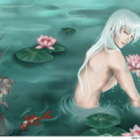 Water Lillies