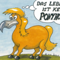 Das Dodopony