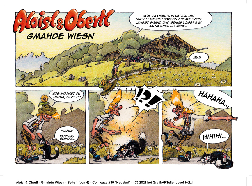 Comic: Making of Gmahde Wiesn 8
