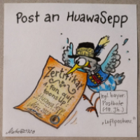 1. Fan auf toonsUp - Zertifikat