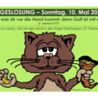 TAGESLOSUNG - So, 10. Mai 2020