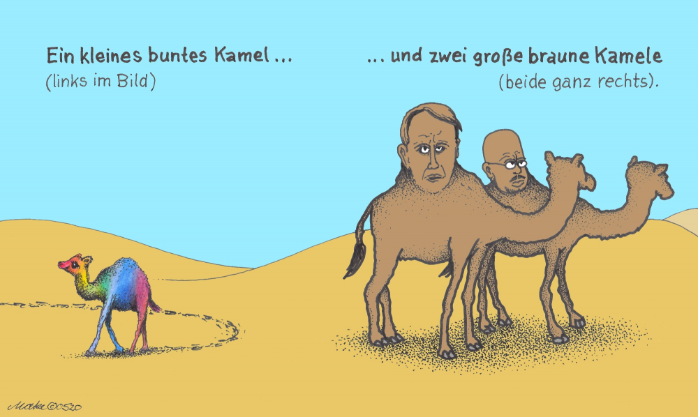 Cartoon: Kamele 1