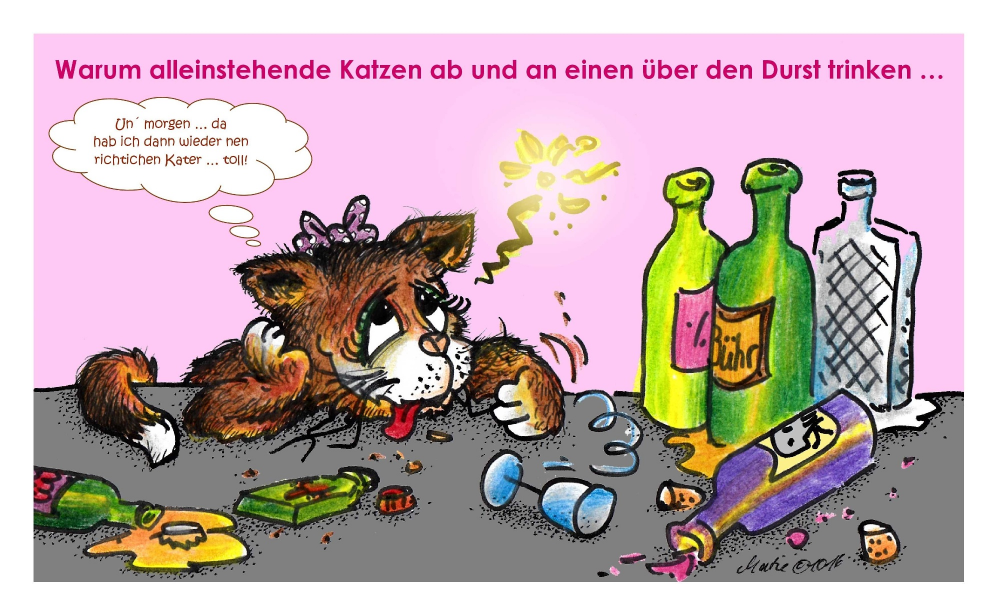 Cartoon: Katzenjammer 1