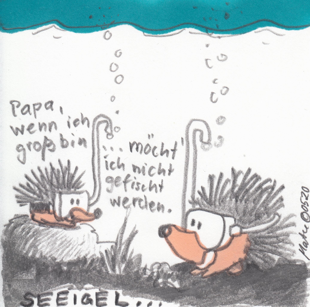 Cartoon: Seeigel 1