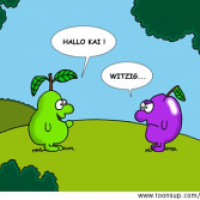 Herr Pflaume :-)