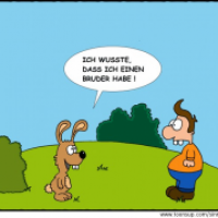 Stiefbrüder