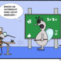 Fliegenunterricht