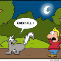 Nachts im Park...