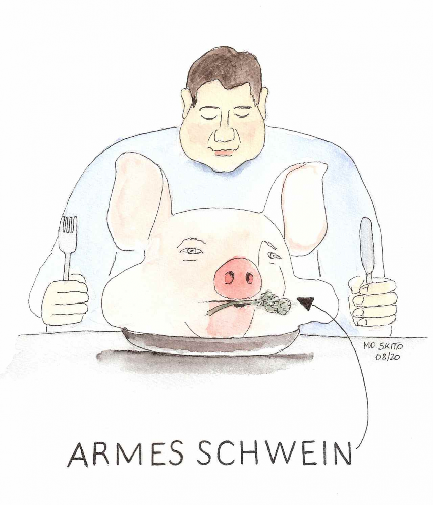 Cartoon: Armes Schwein 1