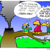 Herd angelassen