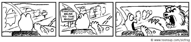 Cartoon: bear right 1