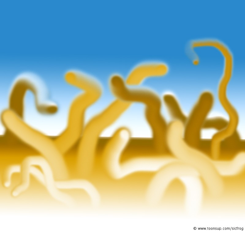 Illustration: Worms 1