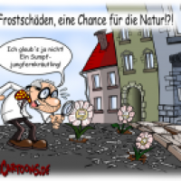 Frostschäden, eine Chance für die Natur?