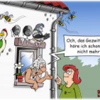 Fassadenbrüter
