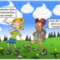 Haufenwolken