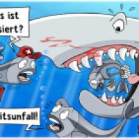 Putzerfische Arbeitsunfall