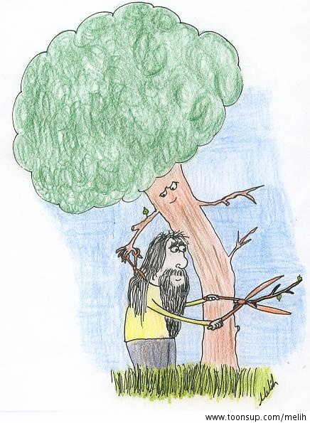 Cartoon: Tree 1
