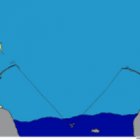 fishing fishes...